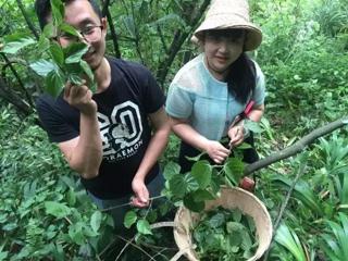 大别山特色美食-岳西&quot;神仙槎&quot;豆腐制作过程